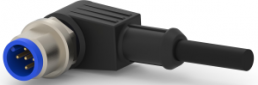 Sensor-Aktor Kabel, M12-Kabelstecker, abgewinkelt auf offenes Ende, 3-polig, 5 m, PVC, grau, 4 A, 2273096-3