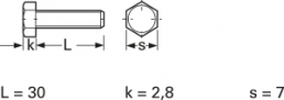 Hexagon head screw, external hexagon, M4, 30 mm, polyamide, DIN 933/ISO 4017