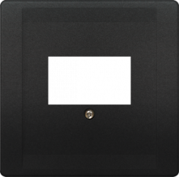 DELTA style cover plate for TAE/loudspeaker multimedia connections, anthracite