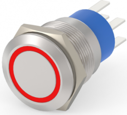 Switch, 2 pole, silver, illuminated  (red), 5 A/250 VAC, mounting Ø 19.2 mm, IP67, 4-2213767-5