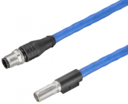 Sensor actuator cable, M12-cable plug, straight to M12-cable plug, straight, 8 pole, 0.5 m, Radox EM 104, blue, 0.5 A, 2451130050