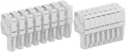 Terminal block, push-in spring connection, 4.0 mm², 2 pole, 30 A, 8 kV, gray, 1SNK806716R0000