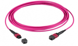 FO patch cable, 4 x MTP-F to 4 x MTP-F, 5 m, OM4, multimode 50/125 µm