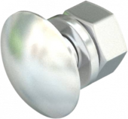 Flat head screw, M10, Ø 24 mm, 25 mm, stainless steel